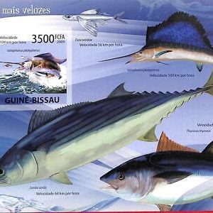 A0823 - GUINEA-BISSAU -  ERROR   IMPERF SHEET -  MARINE LIFE: Fast  Fish 2009