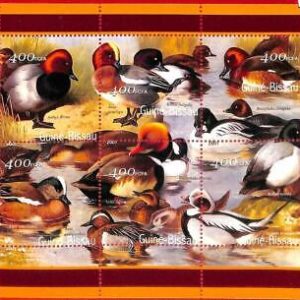A0789 - GUINEA-BISSAU - ERROR  MISSPERF SHEET -  BIRDS Ducks  2001