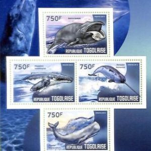 A8864 - TOGO  - Stamp Sheet - 2014 Whales marine mammals