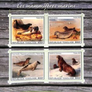 A8873 - TOGO  - ERROR MISPERF Stamp Sheet - 2021 MARINE MAMMALS