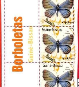 A1791 - GUINEA BISSAU, ERROR: MISSPERF, MINIATURE SHEET - 2001, Butterflies