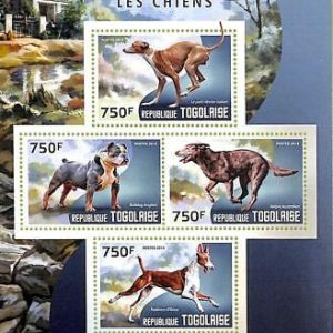 A8831 - TOGO - Stamp Sheet - 2014 DOGS ANIMALS