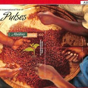 A1044 MALDIVES - ERROR MISSPERF  2016 pulses food Бобовые Еда натура