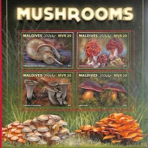 A2067 - MALDIVES, ERROR: MISPERF, MINIATURE SHEET - 2017, Mushrooms
