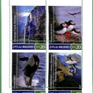 A2211 - MALDIVES - ERROR: MISPERF - 2019, Norwegian Fjords, Birds, Orcas