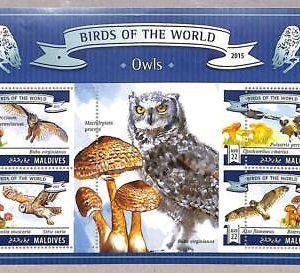 A2031 - MALDIVES, ERROR: IMPERF, MINIATURE SHEET - 2015, Owls, Birds, Mushrooms