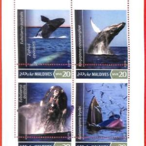 A4029 - MALDIVES - ERROR MISPERF, Miniature sheet: 2019 Whales, Marine Life