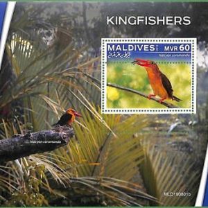 A2202 - MALDIVES - ERROR: MISPERF, Souvenir sheet - 2019, Kingfishers, Birds
