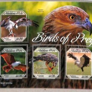 A2189 - MALDIVES - ERROR: MISPERF, Miniature sheet - 2019, Birds of prey