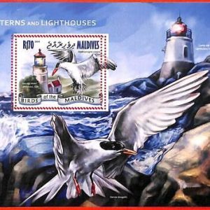A4135 - MALDIVES - ERROR MISPERF, Souvenir sheet: 2014 Terns, Birds, Lighthouses