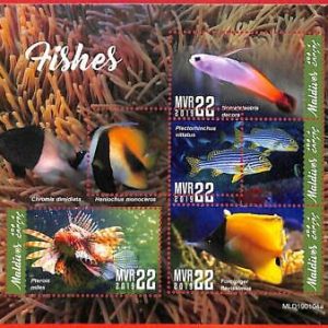 A4186 - MALDIVES - ERROR MISPERF. Miniature sheet: 2019, Fish, Marine Life