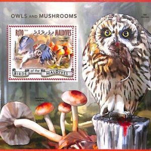 A4132 - MALDIVES - ERROR MISPERF. Souvenir sheet: 2014, Mushrooms, Owls, Birds