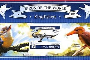A2038 - MALDIVES, ERROR: IMPERF, SOUVENIR SHEET - 2015, Kingfisher Birds