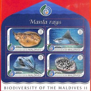 A4088 - MALDIVES - ERROR MISPERF, Miniature sheet: 2018 Manta Rays, Marine life