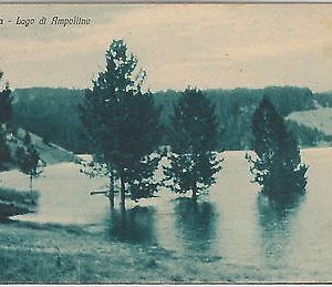 44568  CARTOLINA d'Epoca - COSENZA - SILA - Lago Ampollino 1929 - N.  28310 1966