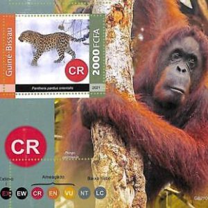A7779 - Guinea-Bissau -  ERROR MISPERF Stamp Sheet - Animals GORILLAS Panther
