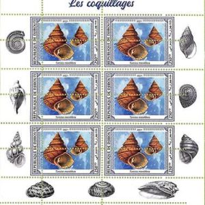 A7748 - DJIBOUTI -  ERROR MISPERF Stamp Sheet -2021  Coneshells