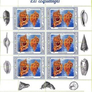A7749 - DJIBOUTI -  ERROR MISPERF Stamp Sheet -2021  Coneshells