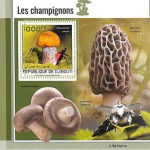 A7758 - DJIBOUTI -  ERROR MISPERF Stamp Sheet -2021 Mushrooms NATURE