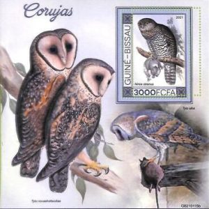 A7795 - Guinea-Bissau - ERROR MISPERF Stamp Sheet - 2021 BIRDS Owls