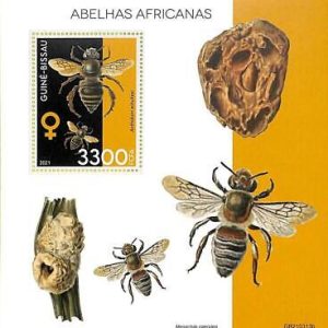 A7802 - Guinea-Bissau -  Stamp Sheet - 2021 Africans BEES Insects