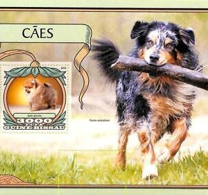 A7778a - Guinea-Bissau -  ERROR MISPERF Stamp Sheet -2016   Animals DOGS