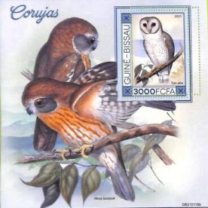 A7793 - Guinea-Bissau - ERROR MISPERF Stamp Sheet - 2021 BIRDS Owls