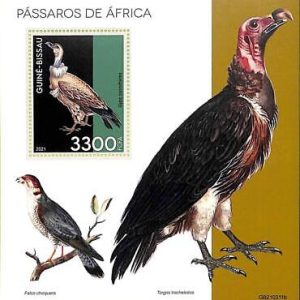 A7803 - Guinea-Bissau -  Stamp Sheet - 2021 Africans  BIRDS