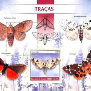 A7785 - Guinea-Bissau - ERROR MISPERF Stamp Sheet -2021  INSECTS Butterflies