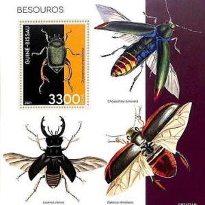 A7801 - Guinea-Bissau -  Stamp Sheet - 2021  Insects bugs