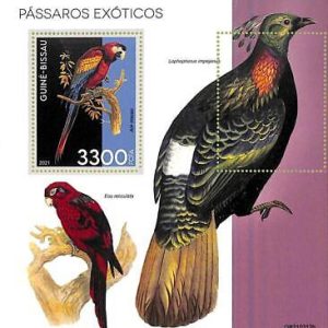 A7811 - Guinea-Bissau - ERROR MISPERF Stamp Sheet - 2021 Exotic BIRDS