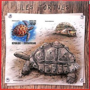 A3912 - Central African Rep - ERROR IMPERF, Souvenir sheet: 2016, Turtles