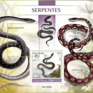 A7829 - Guinea-Bissau - ERROR MISPERF Stamp Sheet - 2021 Reptiles SNAKES