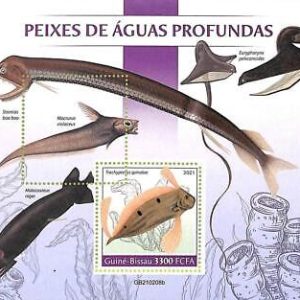 A7820 - Guinea-Bissau - ERROR MISPERF Stamp Sheet - 2021 MARINE LIFE