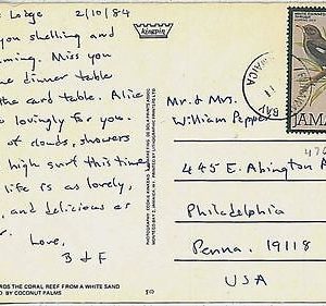 29225 -  JAMAICA  - POSTAL HISTORY - STAMP on POSTCARD 1984  BIRDS