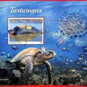 A3205 - SAO TOME & PRINCIPE, ERROR MISPERF, Souvenir sheet: 2019, Turtles