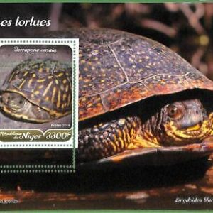A2438 - NIGER - ERROR: MISSPERF, Souvenir sheet - 2019, Turtles, Reptiles