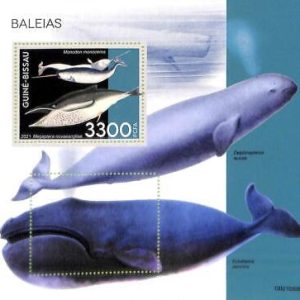 A7823 - Guinea-Bissau - ERROR MISPERF Stamp Sheet - 2021 Whales
