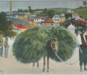 79479 -  Bosnia and Herzegovina - VINTAGE  POSTCARD -   SARAJEVO