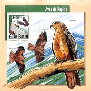 A7898- Guinea-Bissau -ERROR MISPERF Stamp Sheet -2015 BIRDS Owls