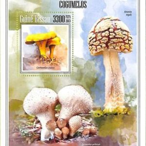A7857 - Guinea-Bissau -  Stamp Sheet - 2013 Plants Mushrooms