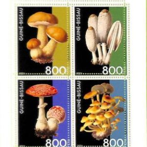 A7859 - Guinea-Bissau - ERROR MISPERF Stamp Sheet - 2021 Plants Mushrooms