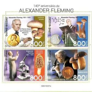 A7901 - Guinea-Bissau -ERROR MISPERF Stamp Sheet -2021 MEDICINE Mushrooms