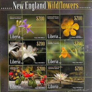 A8091- LIBERIA -  ERROR MISPERF Stamp Sheet -2021 PLANTS Flowers