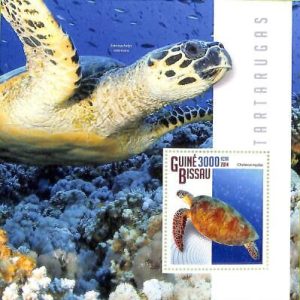 A7891a - Guinea-Bissau -  Stamp Sheet -2014  Reptiles  TURTLES