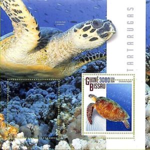 A7891 - Guinea-Bissau - ERROR MISPERF Stamp Sheet -2014  Reptiles  TURTLES