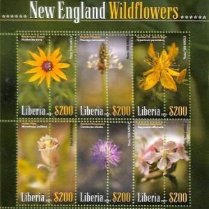 A8092- LIBERIA -  ERROR MISPERF Stamp Sheet -2021 PLANTS Flowers