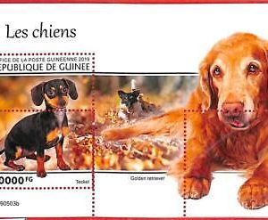 A1988 -GUINEA, ERROR: MISSPERF, S/S - 2019, Dogs, Golden Retriever, Dachshund
