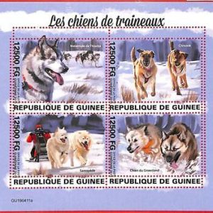 A1968 - GUINEA, ERROR: MISSPERF, MINIATURE S - 2019 Sled Dogs, Chinooks, Samoyed