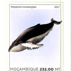 A8159 - MOCAMBIQUE - ERROR MISPERF Stamp Sheet -2021 WHALES
